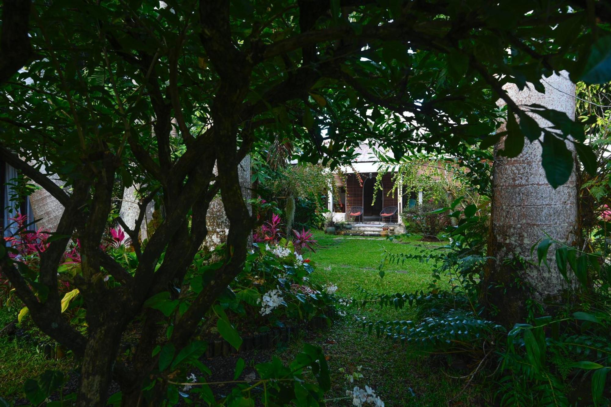 Le Medinilla Bed & Breakfast Bras-Panon ภายนอก รูปภาพ