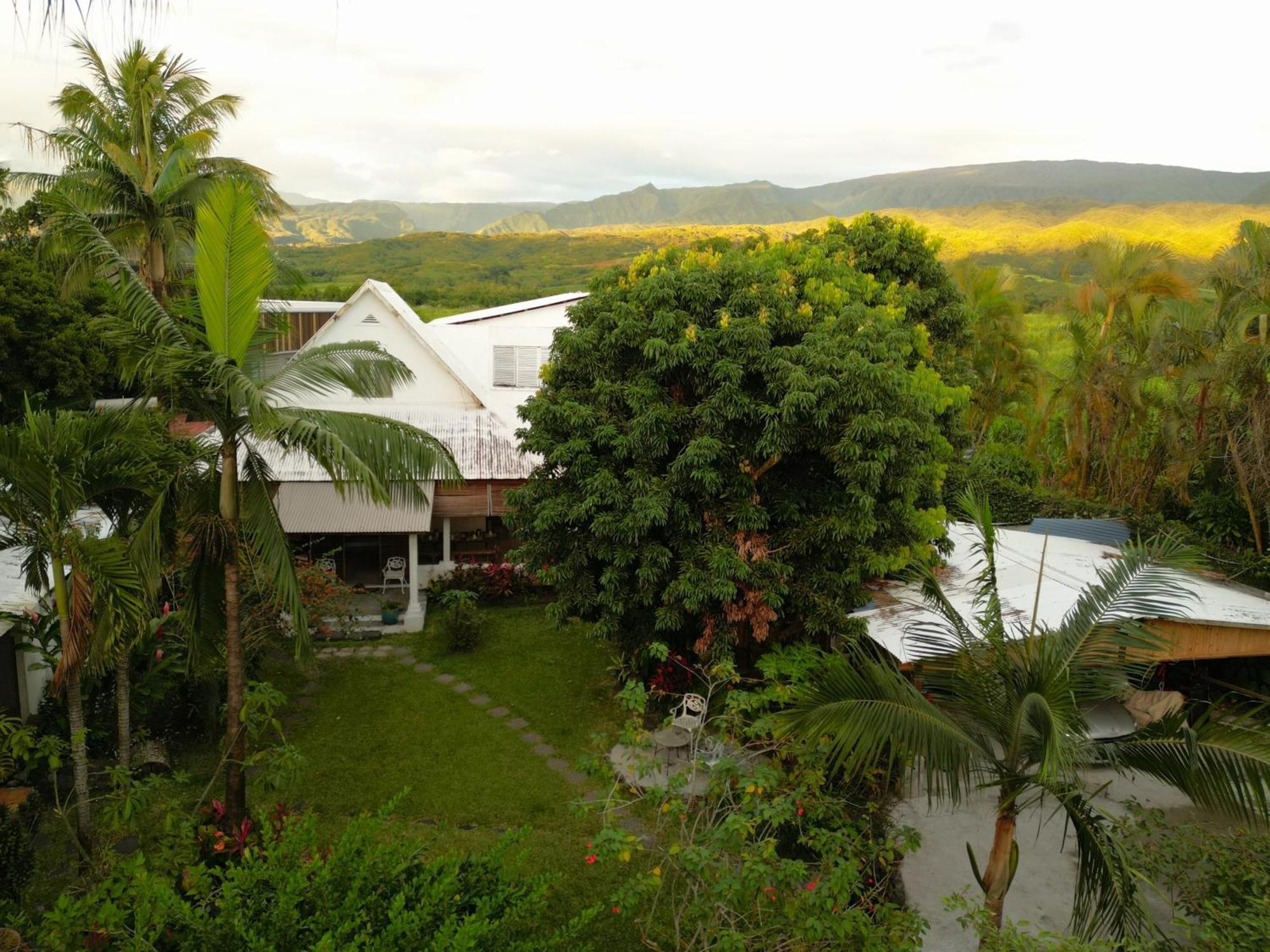 Le Medinilla Bed & Breakfast Bras-Panon ภายนอก รูปภาพ